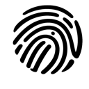 20n